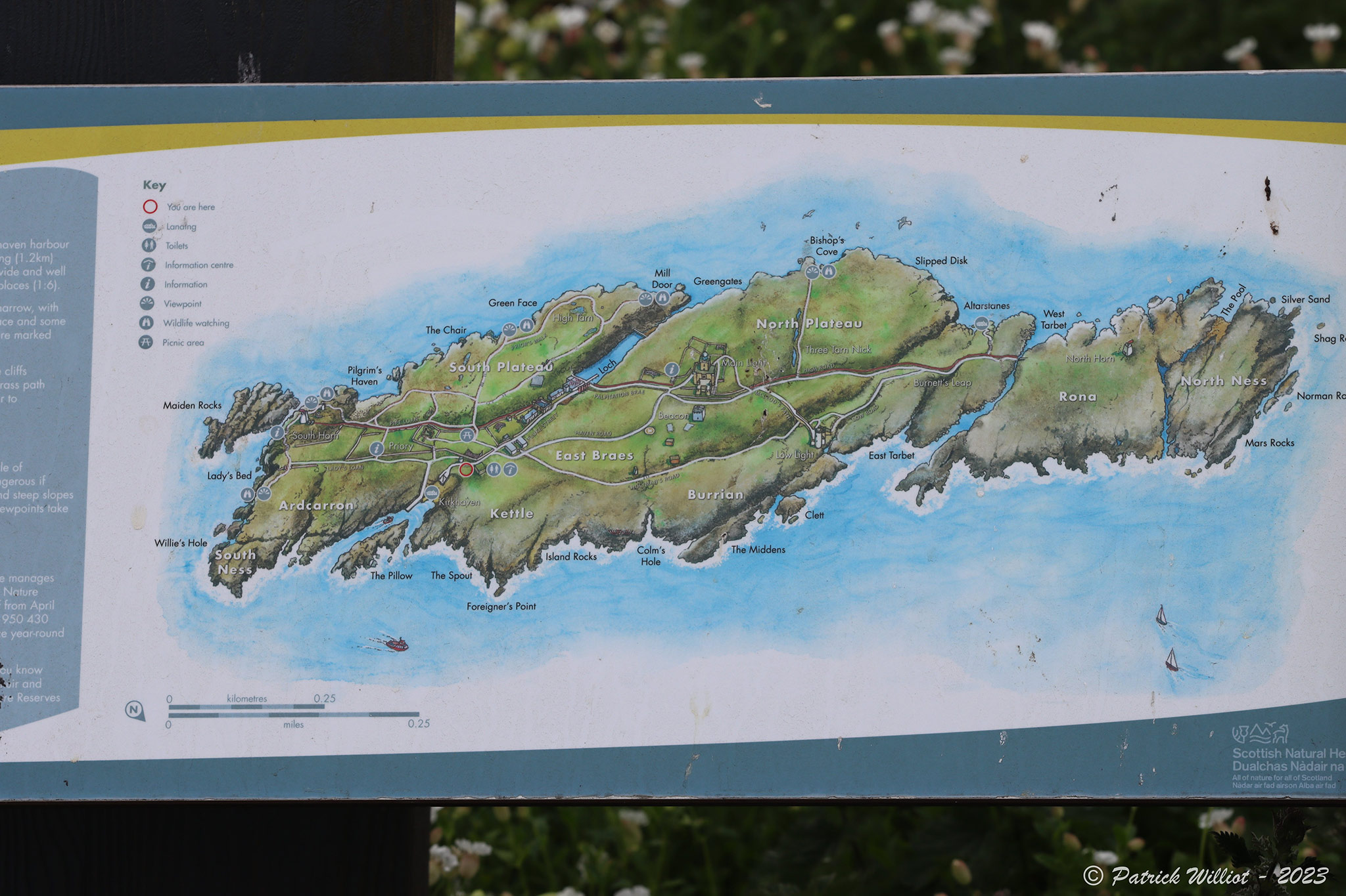 Isle of May National Nature Reserve